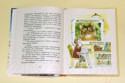 Книга Издательство Мещерякова Похитители котов (Доброчасова А.)