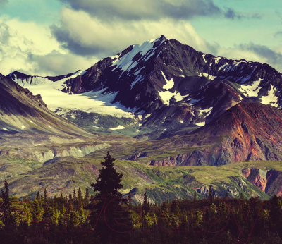 Фотообои листовые Vimala Горы на Аляске (260x300)