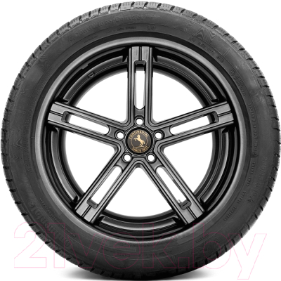 Зимняя шина Continental ContiWinterContact TS830P 255/45 R19 100V Porsche