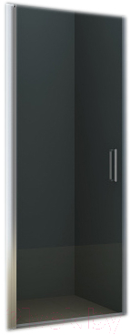 Душевая дверь Riho Novik Z101 90 / GZ1090000 (хром/прозрачное стекло)