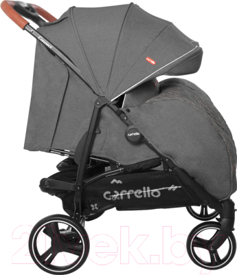 Детская прогулочная коляска Carrello Connect / CRL-5502 (Ink Gray)