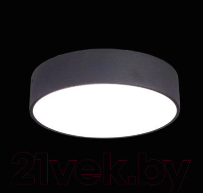 Изображение товара Потолочный светильник Citilux Тао CL712182N