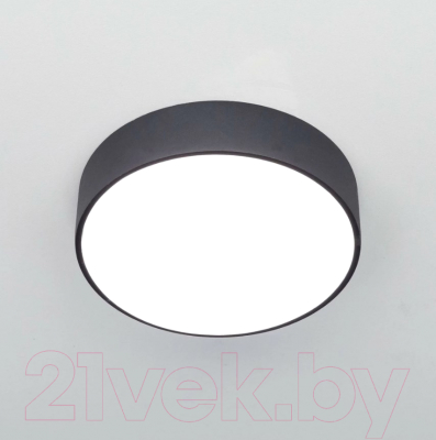 Изображение товара Потолочный светильник Citilux Тао CL712182N