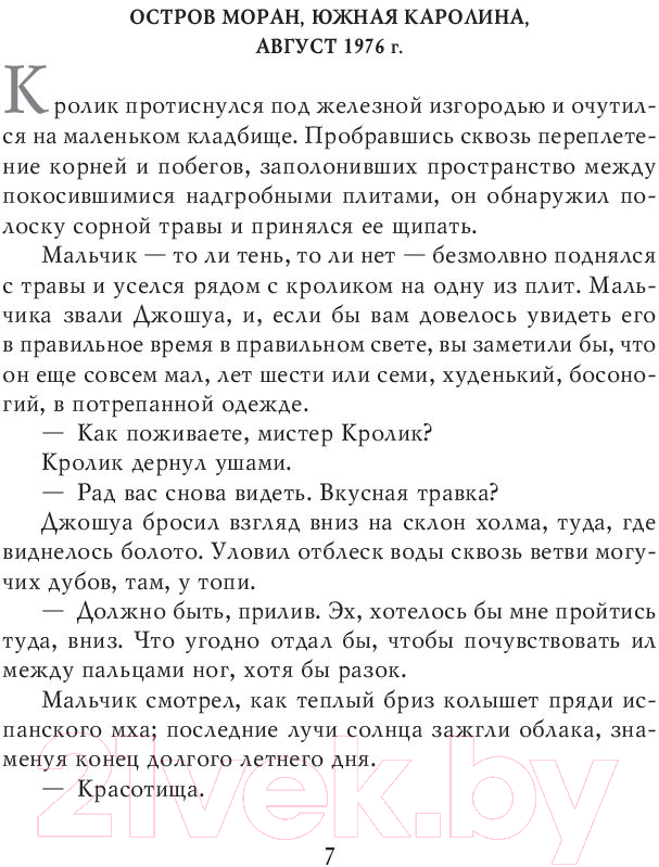 Художественная книга АСТ Потерянные боги (Бром Д.) — фото 6