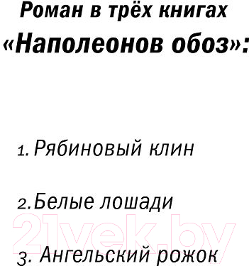 Художественная книга Эксмо Наполеонов обоз. Рябиновый клин. Книга 1 (Рубина Д.) — фото 3