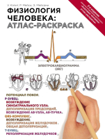 

Книга, Физиология человека: атлас-раскраска