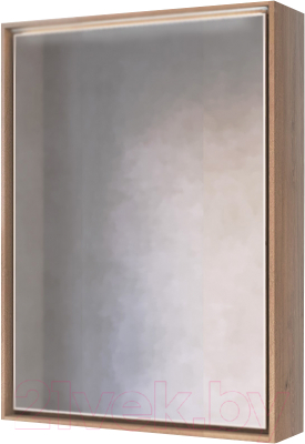 

Шкаф с зеркалом для ванной Raval, Frame 60 / Fra.03.60/DT