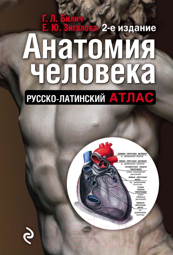 Книга Эксмо Анатомия человека