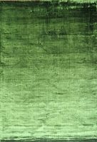 

Ковер Adarsh Exports, Tencel Plain / GREEN-9117