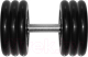 Гантель MB Barbell Профи 31кг - 