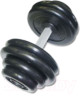 

Гантель MB Barbell, Черный, Профи 48.5кг