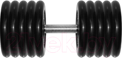 

Гантель MB Barbell, Черный, Профи 53.5кг