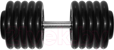 

Гантель MB Barbell, Черный, Профи 56кг