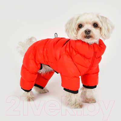 Комбинезон для животных Puppia Jumpesuit B / PAPD-JM1673-RD-XL (красный)