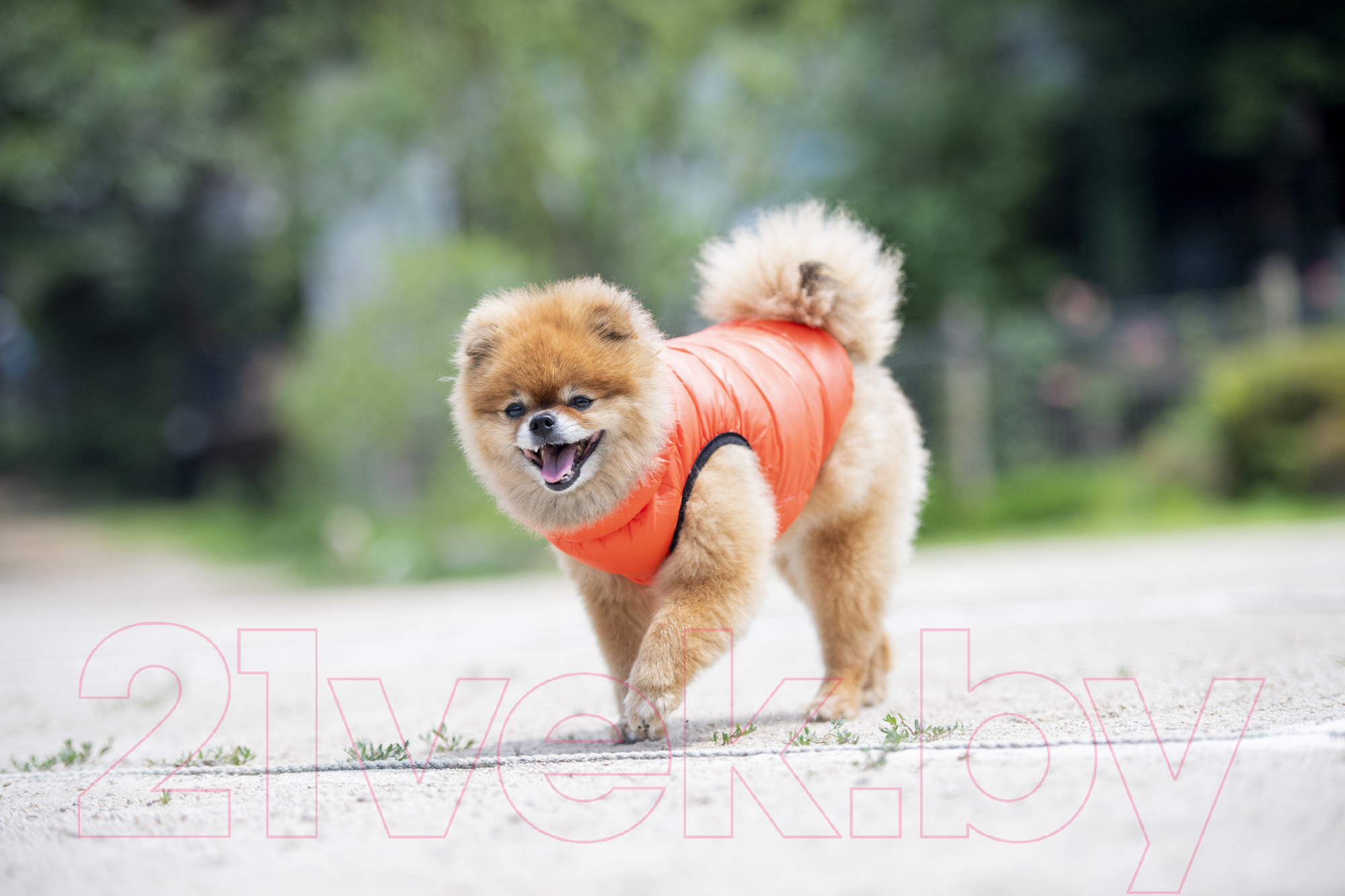 Жилетка для животных Puppia Vest B / PAPD-JM1671-OR-XXL (оранжевый) — фото 4