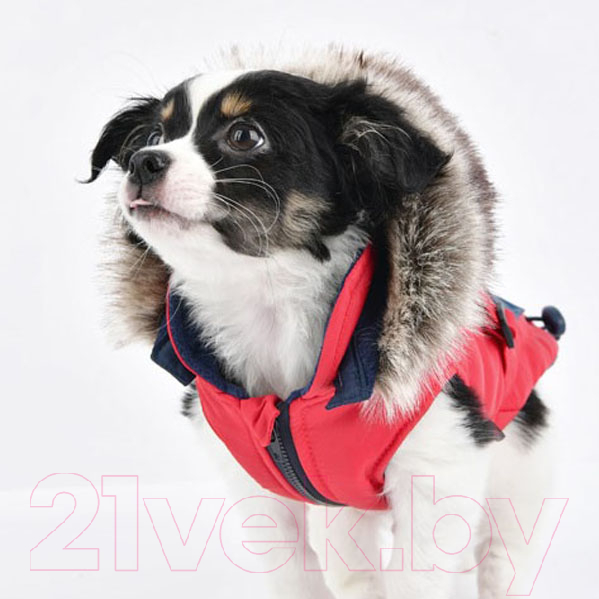 Жилетка для животных Puppia Orson / PARD-VT1569-RD-XL (красный) — фото 3