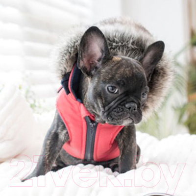 Жилетка для животных Puppia Orson / PARD-VT1569-RD-XL (красный)