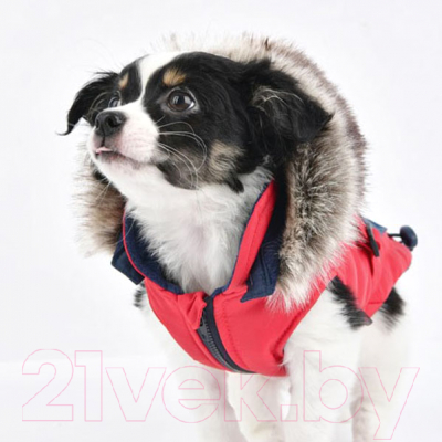 Жилетка для животных Puppia Orson / PARD-VT1569-RD-XL (красный)