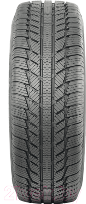 Зимняя легкогрузовая шина Syron Everest C 215/60R16C 103/101T