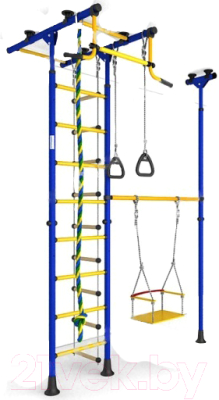 Детский спортивный комплекс Romana 31 ДСКМ-3-8.06.Т.490.01-61 (синий/желтый)