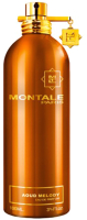 Парфюмерная вода Montale Montale Aoud Melody (100мл) - 