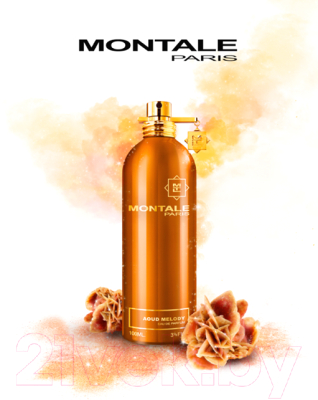 Парфюмерная вода Montale Montale Aoud Melody (100мл)