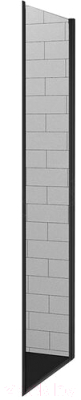 Душевая стенка RGW Z-02 B / 06220209-14 (черный/прозрачное стекло)