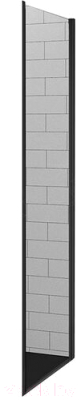 

Душевая стенка RGW, Z-02 B / 06220210-14