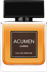 Парфюмерная вода Dilis Parfum Acumen Ambre for Men (100мл)