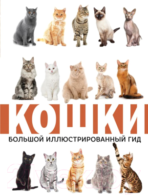 

Энциклопедия АСТ, Кошки