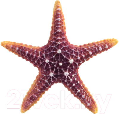 Декорация для аквариума Laguna Морская звезда / 74004166