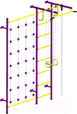 Детский спортивный комплекс Пионер С3С (пурпурный/желтый)