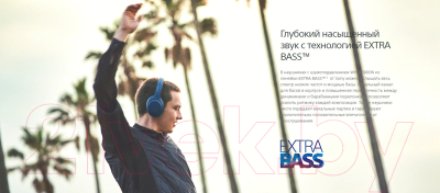 Беспроводные наушники Sony Extra Bass WH-XB900N (черный)
