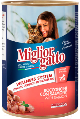 Влажный корм для кошек Miglior Gatto Classic Salmon (405г)