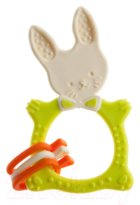 Прорезыватель для зубов Roxy-Kids RBT-001GN (зеленый)