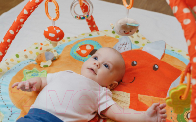 Развивающий коврик Roxy-Kids Лисичка и ее друзья с дугами / RPM-3311С