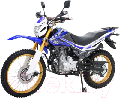 Мотоцикл Regulmoto SK 200GY-5 (синий)