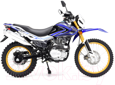 Мотоцикл Regulmoto SK 250GY-5 (синий)