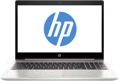 Ноутбук HP ProBook 455 G6 (7QL74ES)