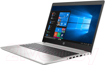 Ноутбук HP ProBook 455 G6 (7QL74ES)