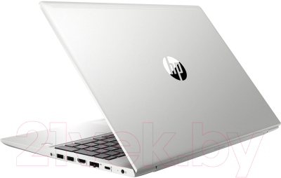 Ноутбук HP ProBook 455 G6 (7QL74ES)
