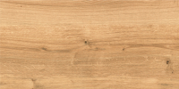 Плитка Cersanit Woodhouse WS4O112D (297x598, коричневый) - 