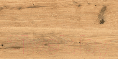 Плитка Cersanit Woodhouse WS4O112D (297x598, коричневый)