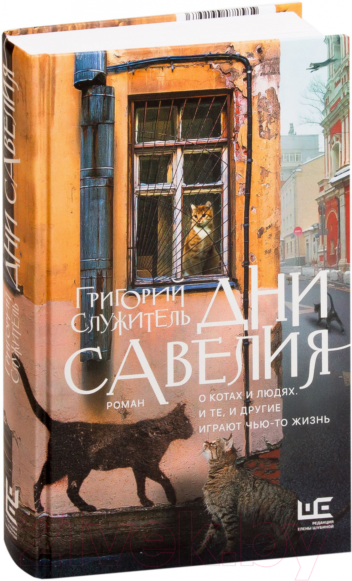 Художественная книга АСТ Дни Савелия (Служитель Г.) — фото 2