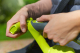 Миниатюра изображения товара Воздуходувка электрическая Ryobi BV3000CSV-RAC365 (5133004541)