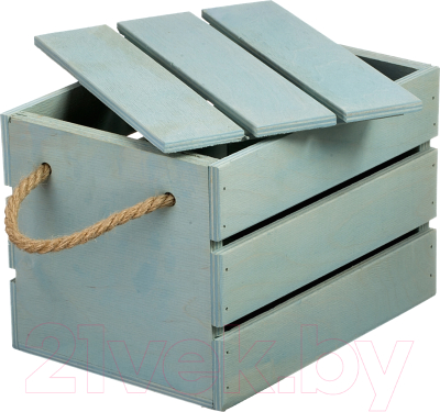 Ящик для хранения Белэкспоформ 1801 (фисташковый)