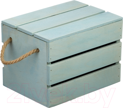 Ящик для хранения Белэкспоформ 1801 (фисташковый)