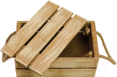 Ящик для хранения Белэкспоформ 1802.1 (светло-коричневый)