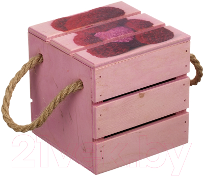 Ящик для хранения Белэкспоформ 1804.2.3 (розовый)