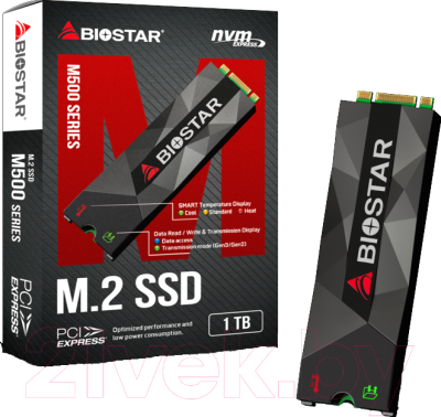 SSD диск Biostar M500 1TB (M500-1TB)